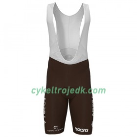 Bib Cykelshorts 2020 AG2R La Mondiale N002 